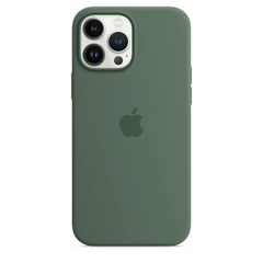 Чохол Silicone Case with Magsafe для iPhone 13 Pro Max Eucalyptus AAA фото