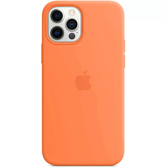 Чохол Silicone Case with Magsafe для iPhone 12/12 Pro Kumquat AAA фото