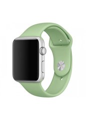 Ремешок Sport Band для Apple Watch 42/44mm силиконовый зеленый спортивный size(s) ARM Series 5 4 3 2 1 Green фото