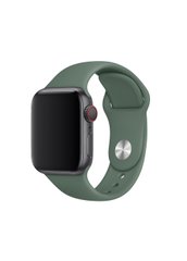 Ремешок Sport Band для Apple Watch 42/44mm силиконовый зеленый спортивный size(s) ARM Series6 5 4 3 2 1 Pine Green фото