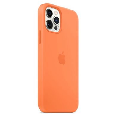 Чохол Silicone Case для iPhone 12 Pro Max Kumquat AAA фото