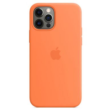Чохол Silicone Case для iPhone 12 Pro Max Kumquat AAA фото