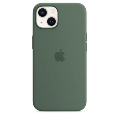 Чохол Silicone Case with Magsafe для iPhone 13 Eucalyptus AAA фото