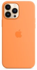 Чохол Silicone Case with Magsafe для iPhone 13 Pro Marigold AAA фото