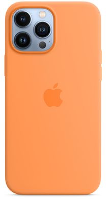 Чохол Silicone Case with Magsafe для iPhone 13 Pro Max Marigold AAA фото