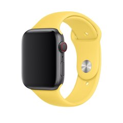 Ремешок Sport Band для Apple Watch 42/44mm силиконовый желтый спортивный ARM Series 6 5 4 3 2 1 Yellow фото