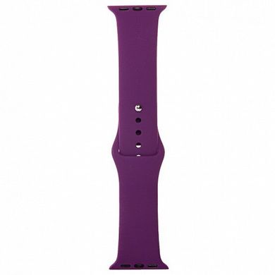 Ремінець Sport Band для Apple Watch 38 / 40mm силіконовий фіолетовий спортивний ARM Series 6 5 4 3 2 1 Purple фото