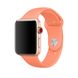 Ремешок Sport Band для Apple Watch 38/40mm силиконовый оранжевый спортивный ARM Series 5 4 3 2 1 Nectraine фото