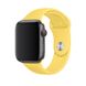 Ремінець Sport Band для Apple Watch 42 / 44mm силіконовий жовтий спортивний ARM Series 6 5 4 3 2 1 Yellow фото