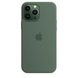 Чохол Silicone Case with Magsafe для Apple iPhone 13 Pro Max Eucalyptus AAA