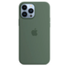 Чехол Silicone Case with Magsafe для Apple iPhone 13 Pro Max Eucalyptus AAA