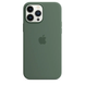 Чехол Silicone Case with Magsafe для Apple iPhone 13 Pro Max Eucalyptus AAA