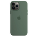 Чохол Silicone Case with Magsafe для Apple iPhone 13 Pro Max Eucalyptus AAA