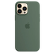 Чохол Silicone Case with Magsafe для Apple iPhone 13 Pro Max Eucalyptus AAA