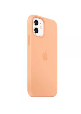 Чохол силіконовий soft-touch Apple Silicone case with Mag Safe для iPhone 12/12 Pro помаранчевий Cantaloupe фото