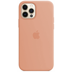 Чохол ARM силіконовий soft-touch Silicone Case для iPhone 12 Pro Max помаранчевий Begonia фото