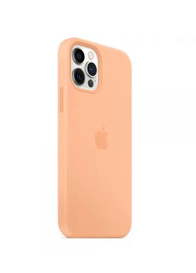 Чехол силиконовый soft-touch Apple Silicone case with Mag Safe для iPhone 12 Pro Max оранжевый Cantaloupe фото