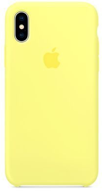 Чохол Silicone Case AA для Apple iPhone Xs Max Jewel Green фото