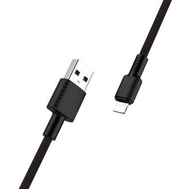 Кабель Lightning to USB Hoco X29 Superior 1 метр черный Black фото