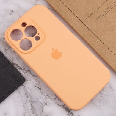 Чохол Silicone Case Full Camera Protective AA для Apple iPhone 12 Pro Max Cantaloupe фото