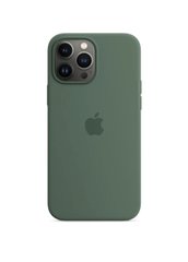 Чехол силиконовый soft-touch Apple Silicone case with Animation для iPhone 13 Pro Max зеленый Eucalyptus фото