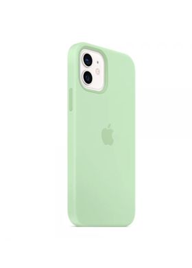 Чехол силиконовый soft-touch Apple Silicone case with Mag Safe для iPhone 12/12 Pro зеленый Pistachio фото