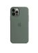 Чехол силиконовый soft-touch ARM Silicone Case для iPhone 12 Pro Max зеленый Pine Green фото