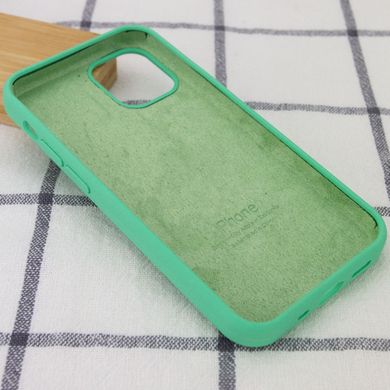 Чохол Silicone Case Full Protective AA для Apple iPhone 12/12 Pro Spearmint фото