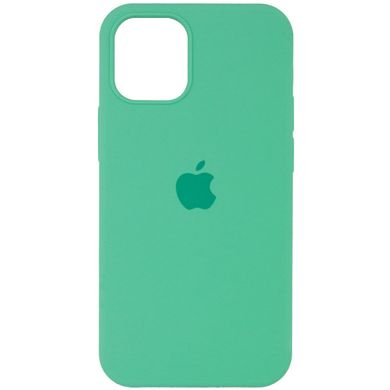 Чохол Silicone Case Full Protective AA для Apple iPhone 12/12 Pro Spearmint фото