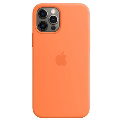 Чехол Silicone Case with Magsafe для Apple iPhone 12/12 Pro Amethyst AAA фото