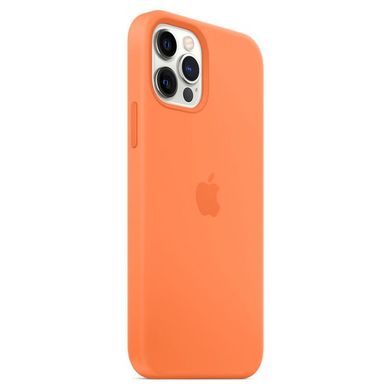 Чехол Silicone Case with Magsafe для Apple iPhone 12/12 Pro Amethyst AAA фото