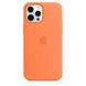 Чохол Silicone Case with Magsafe для iPhone 12/12 Pro Kumquat AAA