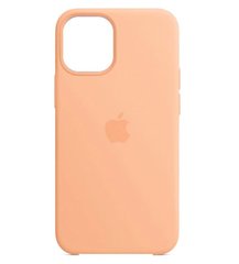 Чохол Silicone Case Full Protective AA для Apple iPhone 12 Pro Max Cantaloupe фото