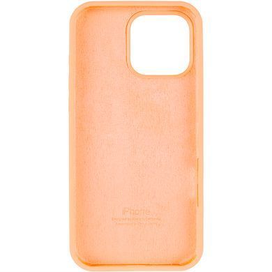 Чохол Silicone Case Full Protective AA для Apple iPhone 12 Pro Max Marsala фото