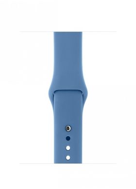Ремінець Sport Band для Apple Watch 42 / 44mm силіконовий синій спортивний ARM Series 6 5 4 3 2 1 Denim Blue фото