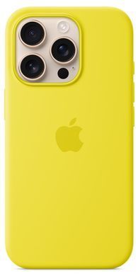 Чeхол Silicone Case with MagSafe для Apple iPhone 16 Pro Star Fruit AAA фото