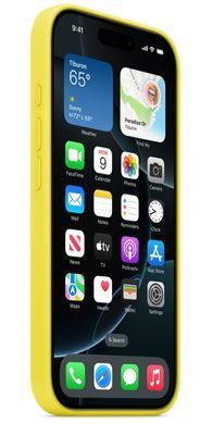 Чeхол Silicone Case with MagSafe для Apple iPhone 16 Pro Star Fruit AAA фото