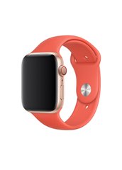 Ремінець Sport Band для Apple Watch 38 / 40mm силіконовий помаранчевий спортивний size (s) ARM Series 6 5 4 3 2 1 Nectraine фото