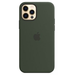 Чохол Silicone Case with Magsafe для Apple iPhone 12 Pro Max Cyprus green AAA фото