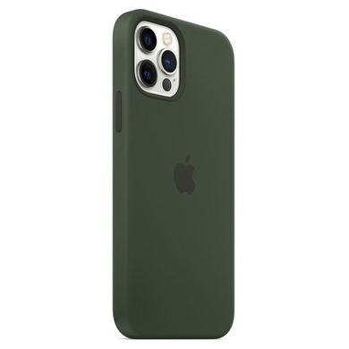 Чохол Silicone Case with Magsafe для iPhone 12 Pro Max Cyprus green AAA фото