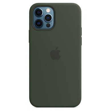 Чохол Silicone Case with Magsafe для iPhone 12 Pro Max Cyprus green AAA фото