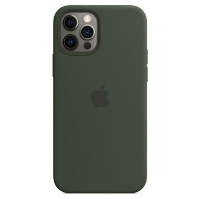 Чохол Silicone Case with Magsafe для iPhone 12 Pro Max Cyprus green AAA фото