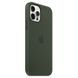 Чехол Silicone Case with Magsafe для iPhone 12 Pro Max Cyprus green AAA