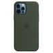 Чехол Silicone Case with Magsafe для iPhone 12 Pro Max Cyprus green AAA