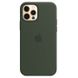 Чохол Silicone Case with Magsafe для iPhone 12 Pro Max Cyprus green AAA