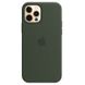 Чехол Silicone Case with Magsafe для iPhone 12 Pro Max Cyprus green AAA