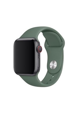Ремінець Sport Band для Apple Watch 42 / 44mm силіконовий зелений спортивний size (s) ARM Series6 5 4 3 2 1 Pine Green фото