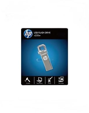 USB Флеш-накопичувач Hewlett Packard 32 Gb сірий флешка Silver фото