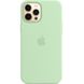 Чохол Silicone Case with Magsafe для iPhone 12/12 Pro Pistachio AAA