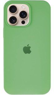 Чехол Silicone Case Full Protective AA для Apple iPhone 12 Pro Max Watermelon Red фото